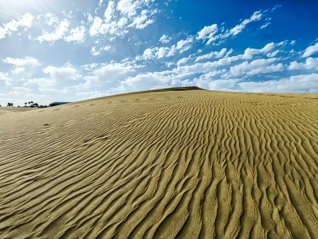 Maspalomas Dunes