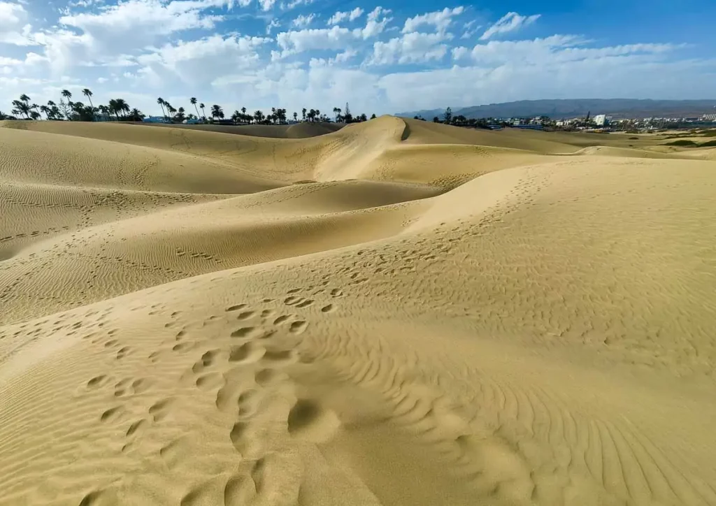 The dunes draw contours before sunset