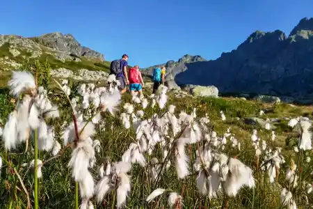 Hincova kotlinka at the end of Mengus Valley