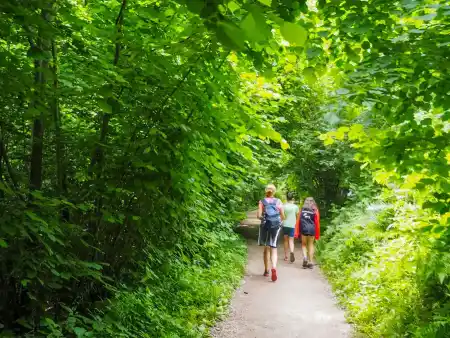 Blejska Dobrava Vintgar gorge