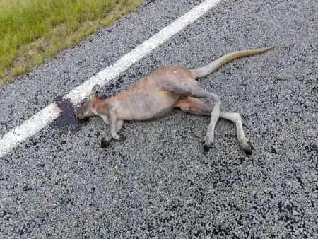 about halfway there is a pump