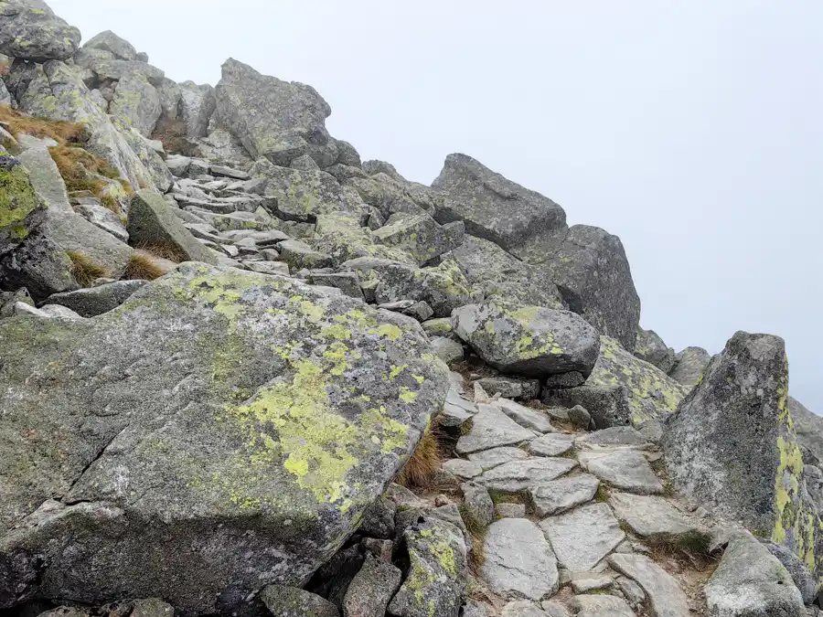 Climbing to the roof of Chopok