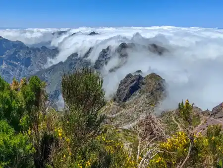 Madeira hiking