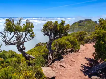 Madeira hiking