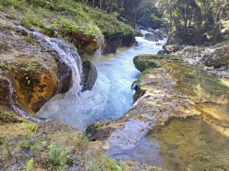 Guatemala jungle hikevent