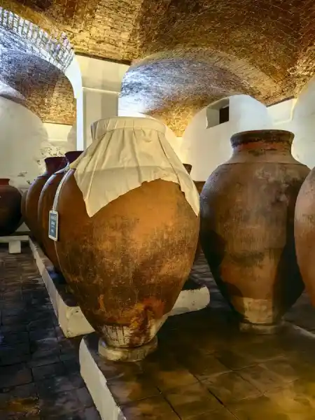 Adega José de Sousa Menhir