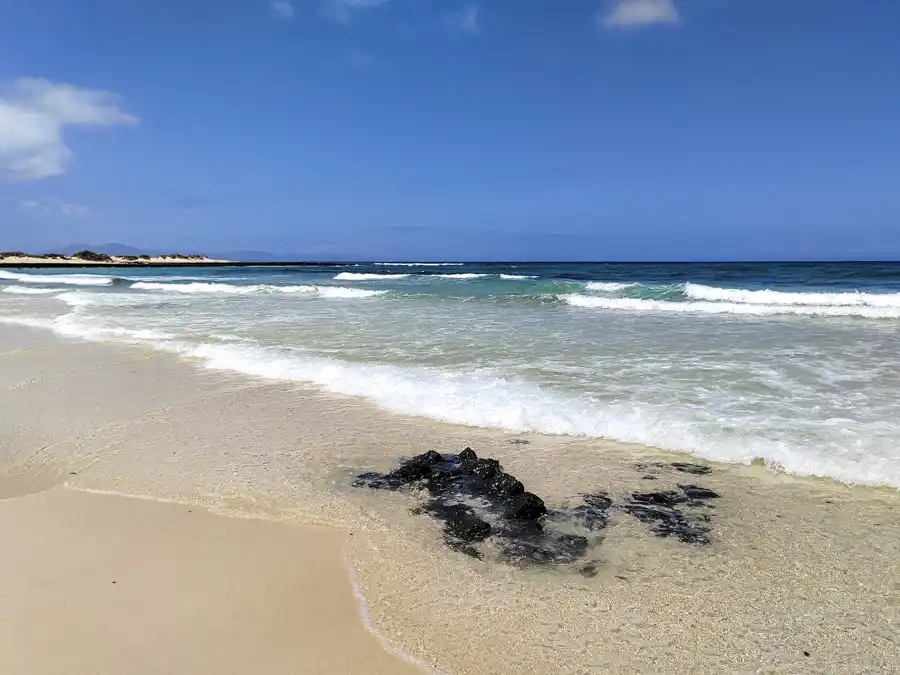 Fuerteventura beaches