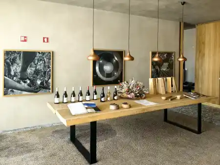 Taste of wine Freixo