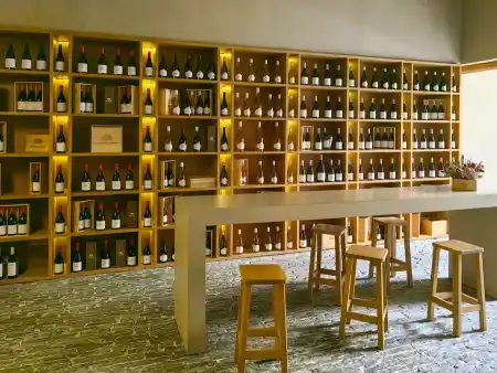 Taste of wine Freixo