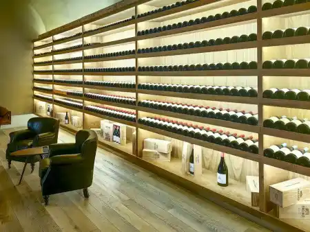 Taste of wine Freixo