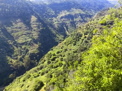 Madeira Levadas