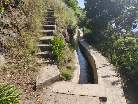Madeira Levadas