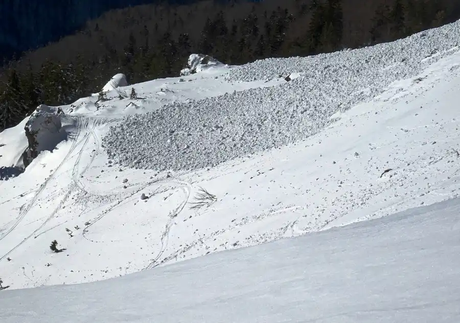 An avalanche pulled down by skilpinists