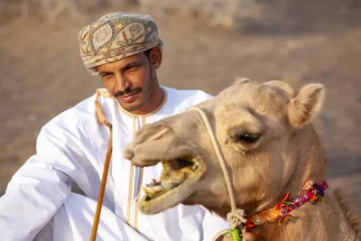 Nomads and Their Camels