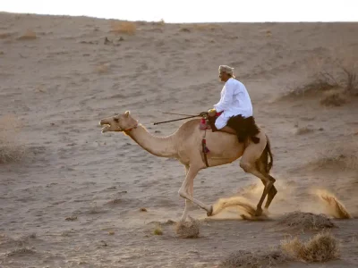 Nomads and Their Camels