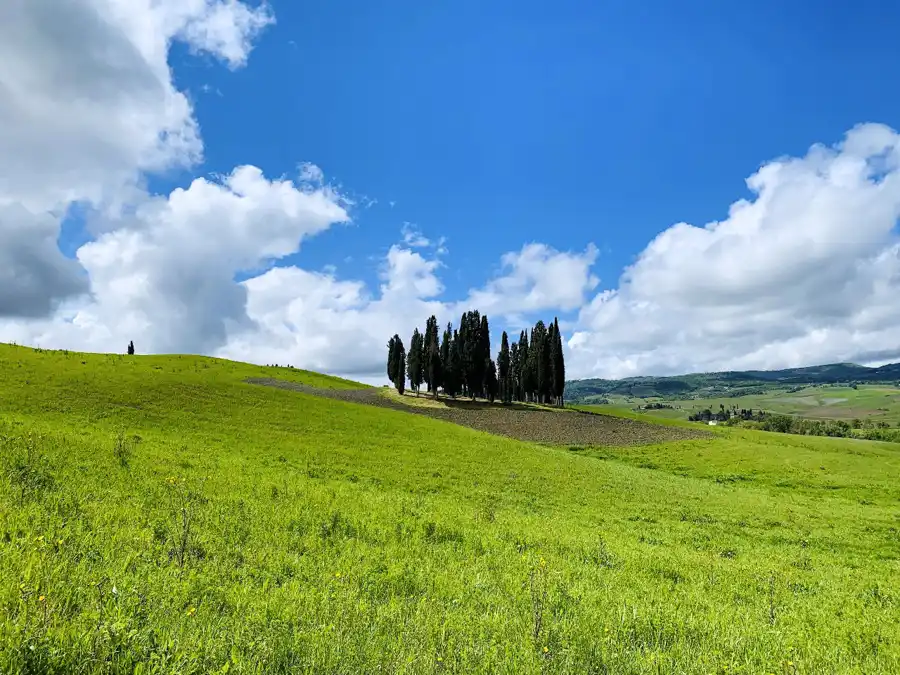 Tuscany Crossing ultra