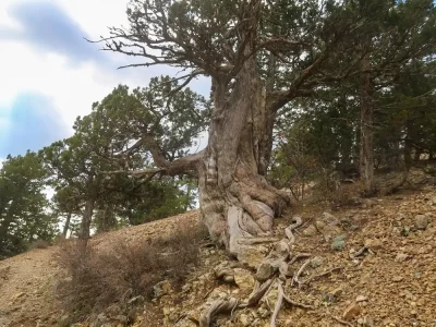 Troodos Square