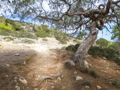 Aphrodite trail