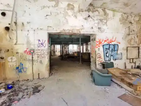 cathedral of silence