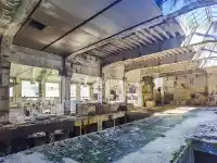 cathedral of silence