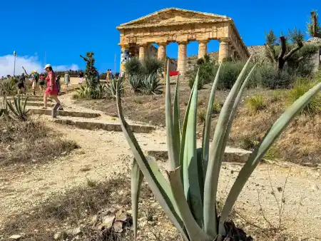 Segesta temple