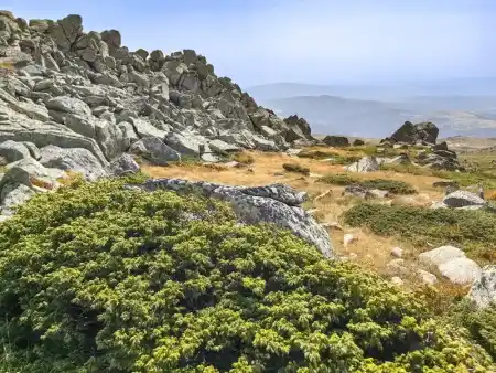 Vitosha