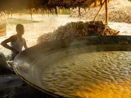 Indian Countryside: Journey Through Southern India