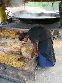 Cooking Sugarcane