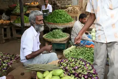 Markets of Tiruvannamalai