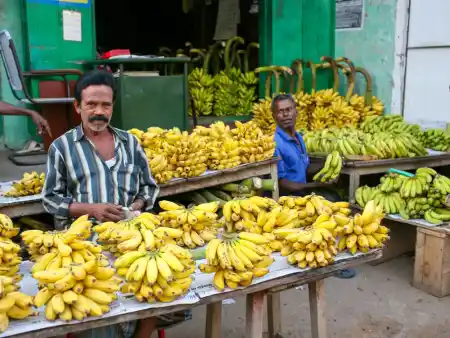 Matkets at Tiruvannamalai