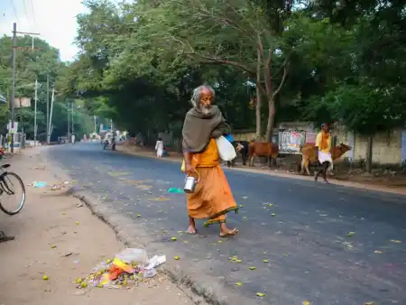 Between gods and garbage