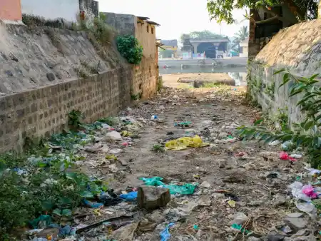 Between gods and garbage