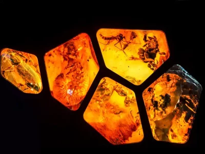 Amber Gdansk