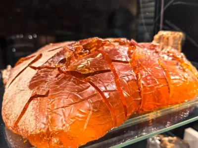 Amber Museum