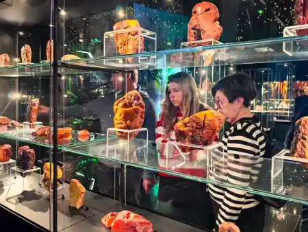 Amber Museum