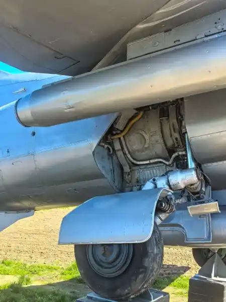 Aliens in the Cornfield