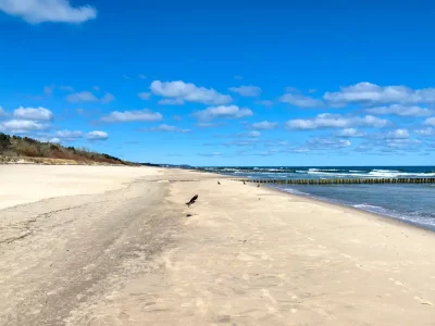 Open Baltic