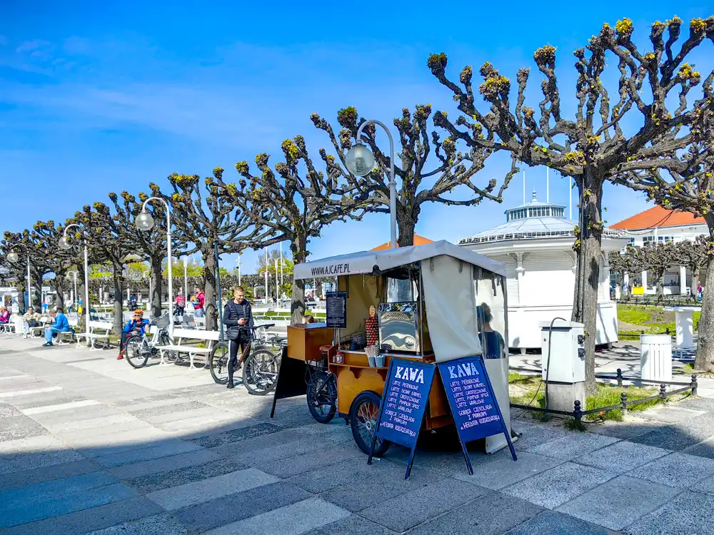 Sopot promenade, those trees don't and don't identify