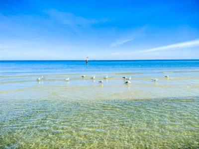 Baltic sea