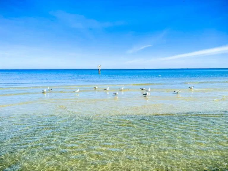Baltic sea