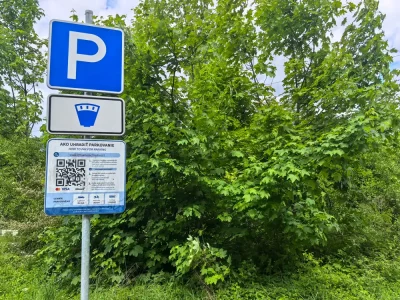 Nezabudska meadow
