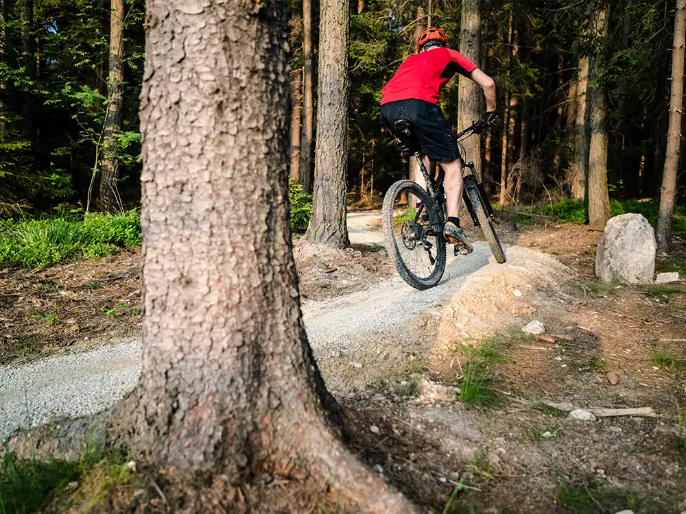 MTB singletrails