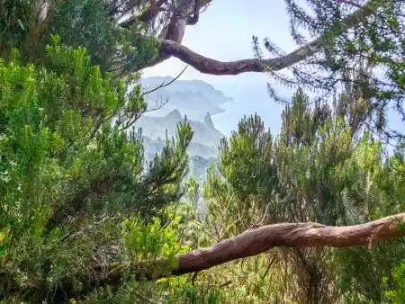 Hiking Anaga: Chamorga