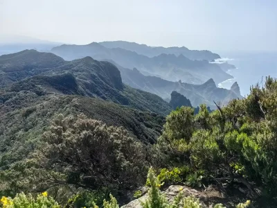 Panoramic views