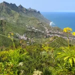 Rogue Negro trail