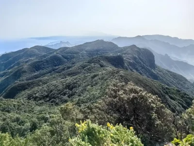 Panoramic views