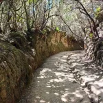 Hiking Anaga