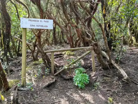 Hiking Anaga: Chamorga