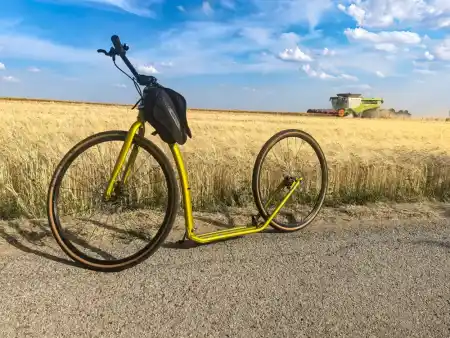 Race with combine harvester