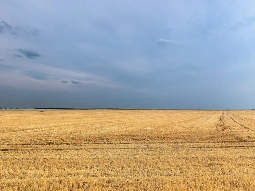 The calm before the storm